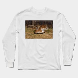 Snowshoe Hare running through the meadow in spring Long Sleeve T-Shirt